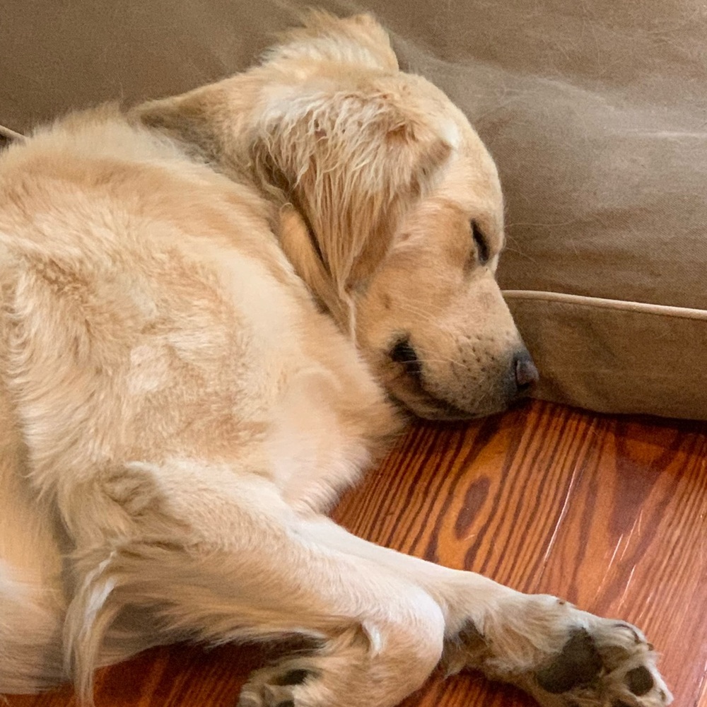 Meet your Posher, Alessia